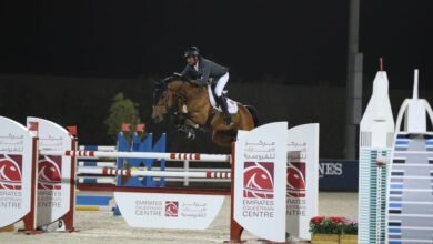 "مركز الإمارات للفروسية" يستضيف 8 منافسات لقفز الحواجز