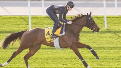 "سيرفي" تتحدى نخبة خيول العالم في "شيمـا كلاسيك" بكأس دبي العالمي 3 "سيرفي" تتحدى نخبة خيول العالم في "شيمـا كلاسيك" بكأس دبي العالمي