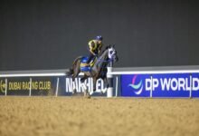 كأس دبي العالمي.."بنتورناتو" يقود طموحات "أنجيلو" للفوز بلقب "جولدن شاهين"