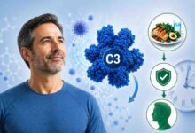 تنظيم بروتين "سي-3" المناعي يُبطئ الشيخوخة