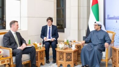 منصور بن زايد يستقبل نائب رئيس الوزراء الروسي