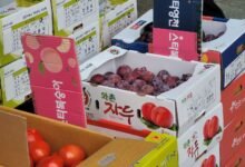 صادرات كوريا من المواد الغذائية ترتفع بنسبة 4%