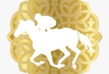 النسخة الـ33 لكأس رئيس الدولة للخيول العربية الأصيلة تنطلق غدا في تونس