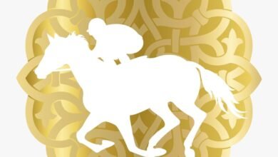 النسخة الـ33 لكأس رئيس الدولة للخيول العربية الأصيلة تنطلق غدا في تونس