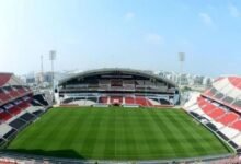 استاد محمد بن زايد