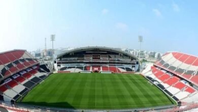 استاد محمد بن زايد