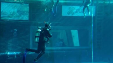 بطولة فزاع للغوص الحر "الحياري" تنطلق الثلاثاء في مجمع حمدان الرياضي