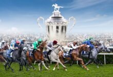 الإمارات تُعلن تفاصيل النسخة الـ 33 لـ "كأس رئيس الدولة للخيول العربية" 2026