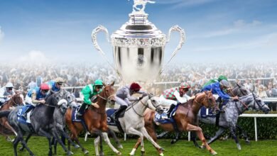 الإمارات تُعلن تفاصيل النسخة الـ 33 لـ "كأس رئيس الدولة للخيول العربية" 2026