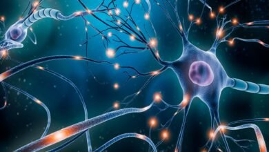 باحثون من جامعتي "نيويورك أبوظبي" و"دنفر" يطورون تقنية تدعم علاجات أمراض الدماغ