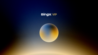 BingX VIP