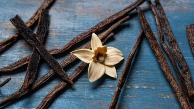 ليست مجرد نكهة.. فوائد صحية واعدة للفانيليا 29 نكهة