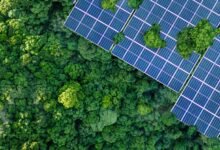 "أبوظبي الأول" يكشف خطة التحول إلى صافي الانبعاثات الصفري