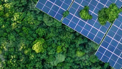 "أبوظبي الأول" يكشف خطة التحول إلى صافي الانبعاثات الصفري