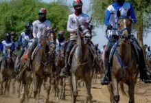 نادي دبي للفروسية: أكثر من 4 آلاف جواد شاركت في سباقات الموسم الحالي