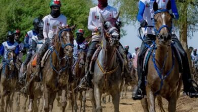 نادي دبي للفروسية: أكثر من 4 آلاف جواد شاركت في سباقات الموسم الحالي