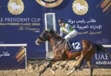 انطلاقة قوية لكأس رئيس الدولة للخيول العربية في تونس.. و"آر بي بوي فريند" يتوج بلقب المحطة الأولى