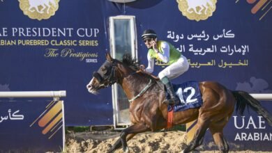 انطلاقة قوية لكأس رئيس الدولة للخيول العربية في تونس.. و"آر بي بوي فريند" يتوج بلقب المحطة الأولى