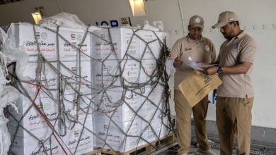 "الفارس الشهم 3"