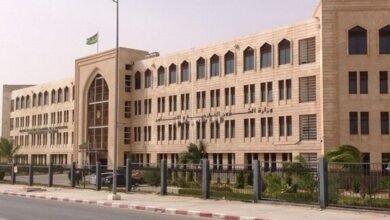 موريتانيا تشيد بجهود الإمارات في تفكيك خلية إرهابية وتؤكد تضامنها معها