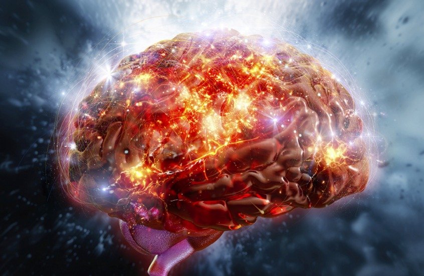 هواية شائعة تعزز صحة ونشاط الدماغ بشكل ملحوظ .. تعرف عليها 1 الدماغ