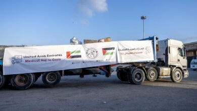 الفارس الشهم 3