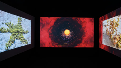 «روافد ورؤى» يختتم فعالياته في سول بـ 110 أعمال فنية لـ 47 فناناً إماراتياً 4 روافد ورؤى