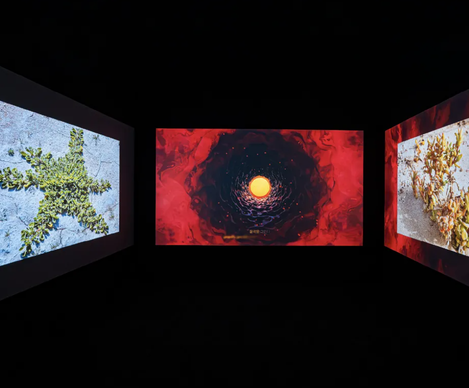 «روافد ورؤى» يختتم فعالياته في سول بـ 110 أعمال فنية لـ 47 فناناً إماراتياً 1 روافد ورؤى