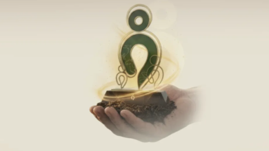 منصور بن زايد