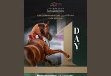 البحرين تستضيف الجولة الثانية لكأس الإمارات العالمي لجمال الخيل العربية بمشاركة 106 خيول