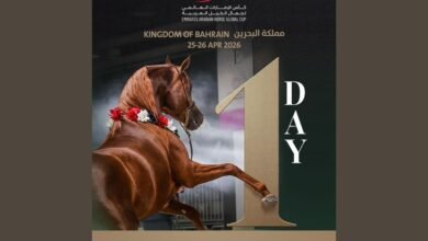 البحرين تستضيف الجولة الثانية لكأس الإمارات العالمي لجمال الخيل العربية بمشاركة 106 خيول