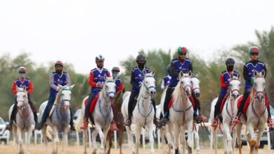 518 من الفرسان يختتمون موسم القدرة في قرية بوذيب العالمية 3 الفرسان