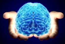 الأمعاء والدماغ