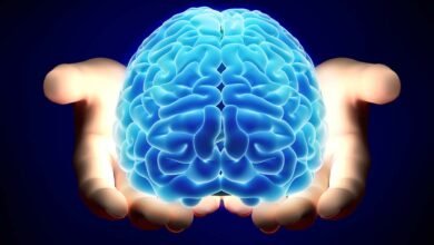 الأمعاء والدماغ