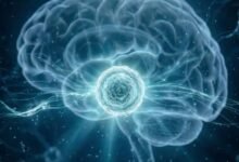 أبوظبي للخلايا الجذعية