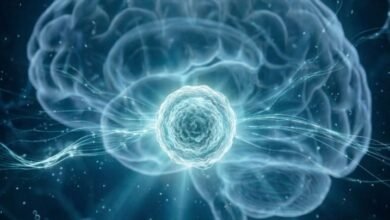 "أبوظبي للخلايا الجذعية" يُعلن تطوير تقنية مبتكرة لإنتاج خلايا دماغية من المريض 2 أبوظبي للخلايا الجذعية