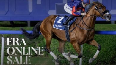 مزاد هيئة الإمارات لسباق الخيل يسجل مشاركة قياسية بزيادة 154%