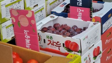 ارتفاع صادرات كوريا من المواد الغذائية بنسبة 4%