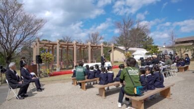 جناح الإمارات في "إكسبو 2025 أوساكا" يُهدي مظلته الخشبية لمتنزه أطفال في مُحافظة توتوري اليابانية 5 جناح الإمارات في "إكسبو 2025 أوساكا" يُهدي مظلته الخشبية لمتنزه أطفال في مُحافظة توتوري اليابانية