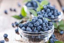 فوائد مذهلة.. التوت الأزرق يدعم توازن السكر ويعيد تشكيل بكتيريا الأمعاء