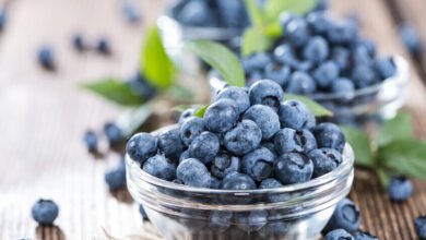 فوائد مذهلة.. التوت الأزرق يدعم توازن السكر ويعيد تشكيل بكتيريا الأمعاء 3 فوائد مذهلة.. التوت الأزرق يدعم توازن السكر ويعيد تشكيل بكتيريا الأمعاء