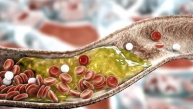 سرّ بسيط لصحة القلب.. أطعمة تخفض الكوليسترول خلال أسابيع 16 سرّ بسيط لصحة القلب.. أطعمة تخفض الكوليسترول خلال أسابيع