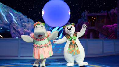 سي وورلد أبوظبي