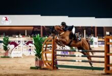 10 فرسان يمثلون الإمارات في بطولة المجموعة الإقليمية لقفز الحواجز بالدوحة