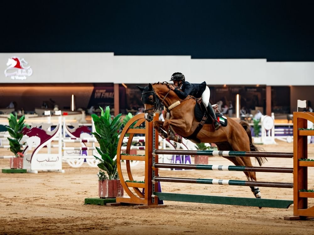 10 فرسان يمثلون الإمارات في بطولة المجموعة الإقليمية لقفز الحواجز بالدوحة 1 10 فرسان يمثلون الإمارات في بطولة المجموعة الإقليمية لقفز الحواجز بالدوحة
