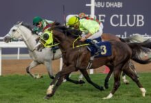 109 خيول تتنافس على مضمار أبوظبي غداً