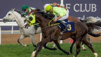 109 خيول تتنافس على مضمار أبوظبي غداً