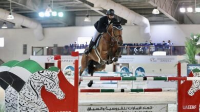 370 خيلاً تشارك في 14 منافسة بدوري الإمارات لقفز الحواجز