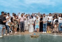 هيئة الفجيرة للبيئة تعيد إطلاق سلاحف بحرية إلى موطنها وتراقب سلوكها