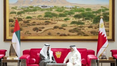 رئيس الدولة والملك حمد بن عيسى يبحثان في البحرين آخر المستجدات الإقليمية